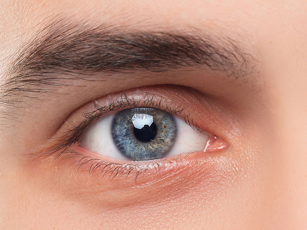 Auge in Nahaufnahme blick direkt zum Betrachter