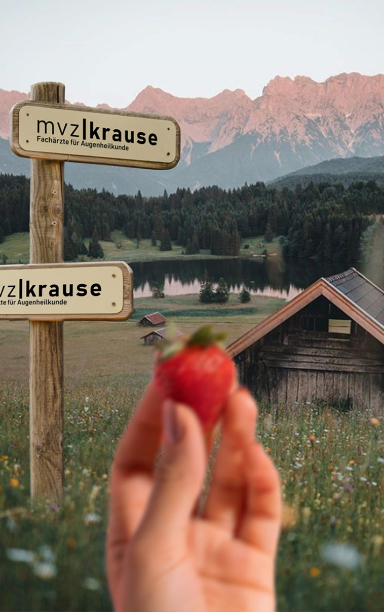 Schaubild Bifokale Multifokallinse